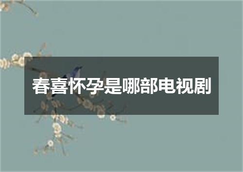 春喜怀孕是哪部电视剧