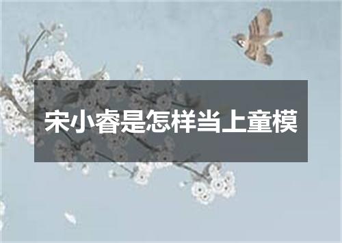 宋小睿是怎样当上童模