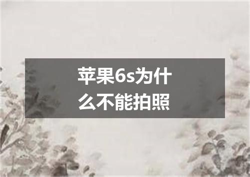 苹果6s为什么不能拍照