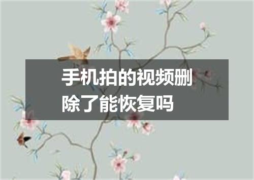 手机拍的视频删除了能恢复吗