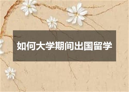 如何大学期间出国留学