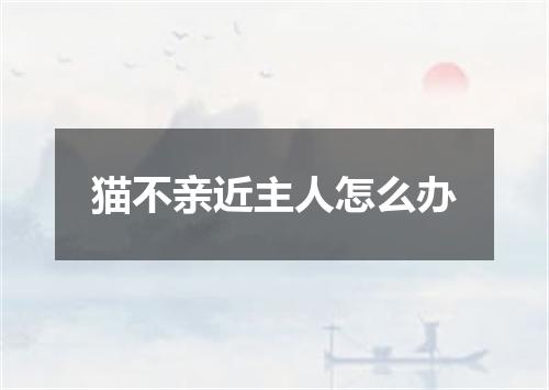 猫不亲近主人怎么办