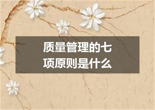 质量管理的七项原则是什么