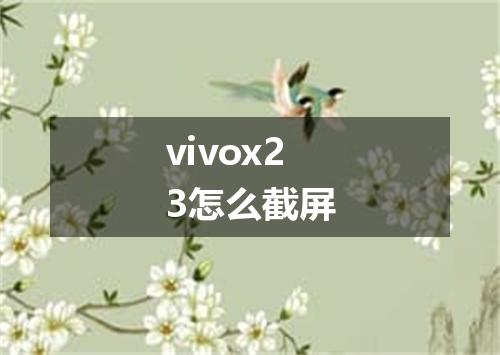 vivox23怎么截屏