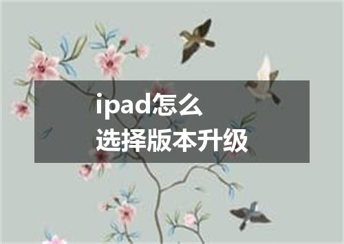 ipad怎么选择版本升级