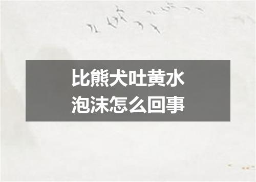 比熊犬吐黄水泡沫怎么回事