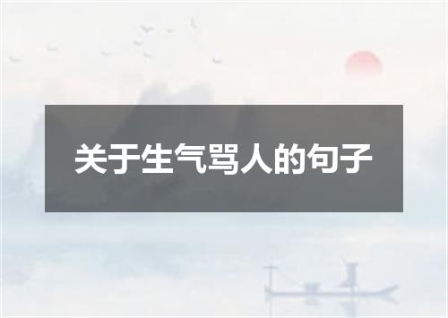 关于生气骂人的句子