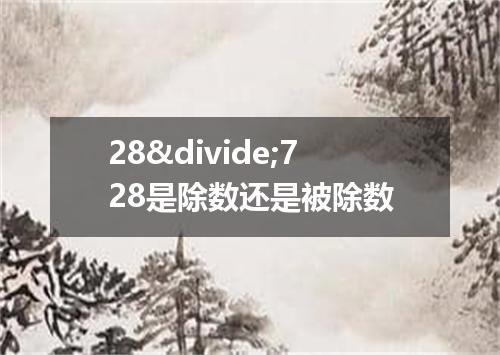 28&divide;728是除数还是被除数
