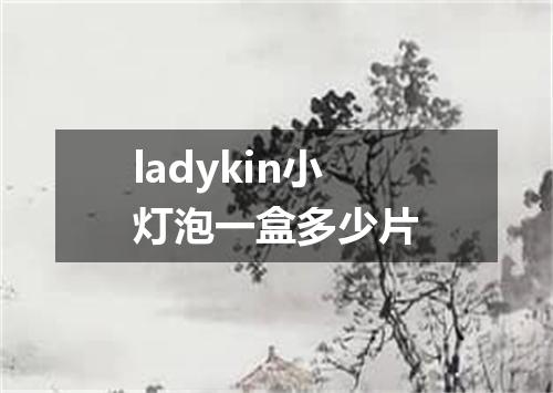 ladykin小灯泡一盒多少片