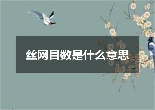 丝网目数是什么意思