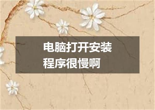 电脑打开安装程序很慢啊