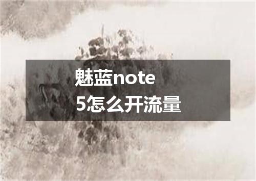 魅蓝note5怎么开流量