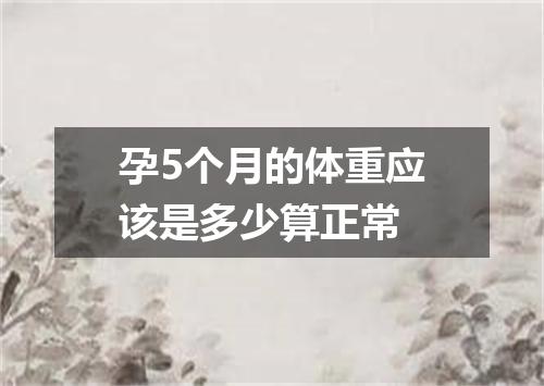 孕5个月的体重应该是多少算正常