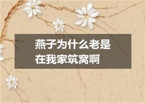 燕子为什么老是在我家筑窝啊