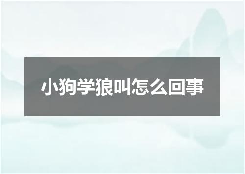 小狗学狼叫怎么回事