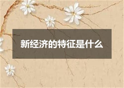 新经济的特征是什么