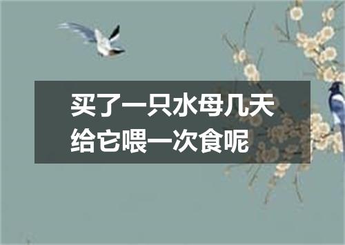 买了一只水母几天给它喂一次食呢