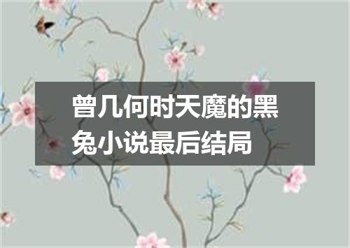曾几何时天魔的黑兔小说最后结局