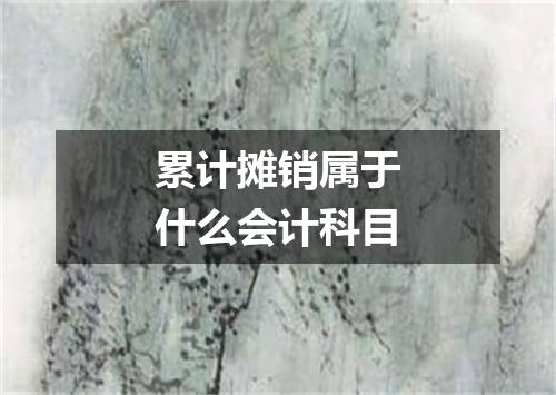 累计摊销属于什么会计科目