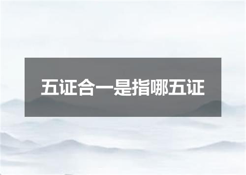 五证合一是指哪五证