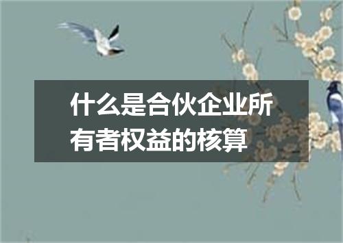 什么是合伙企业所有者权益的核算