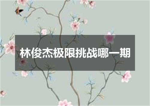 林俊杰极限挑战哪一期