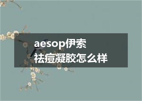aesop伊索祛痘凝胶怎么样