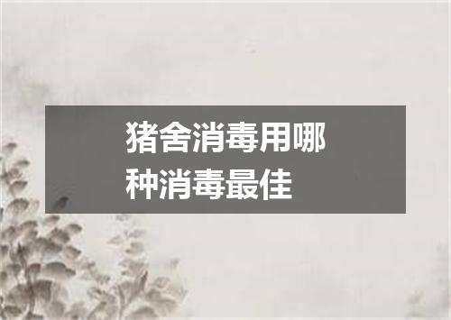 猪舍消毒用哪种消毒最佳