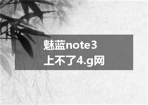 魅蓝note3上不了4.g网