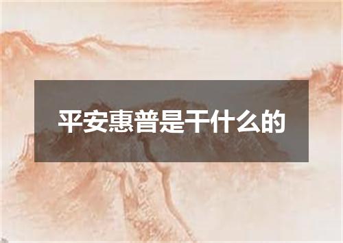 平安惠普是干什么的