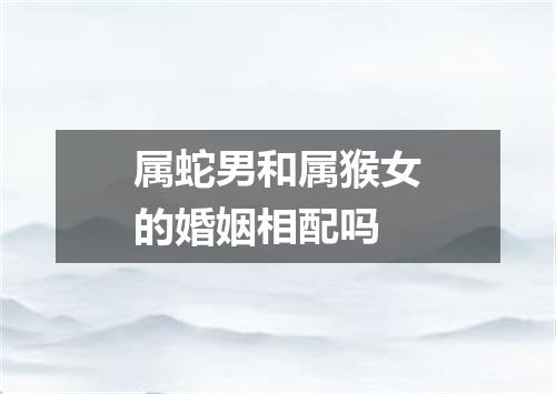 属蛇男和属猴女的婚姻相配吗