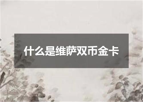 什么是维萨双币金卡