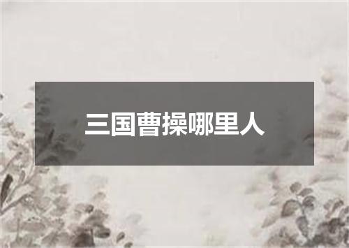 三国曹操哪里人