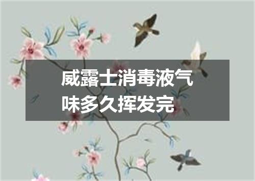 威露士消毒液气味多久挥发完