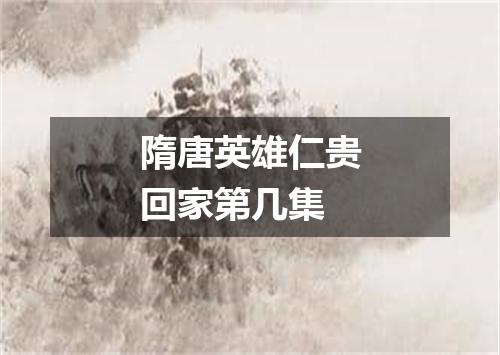 隋唐英雄仁贵回家第几集