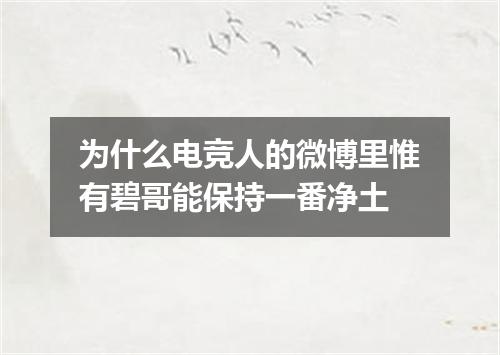 为什么电竞人的微博里惟有碧哥能保持一番净土