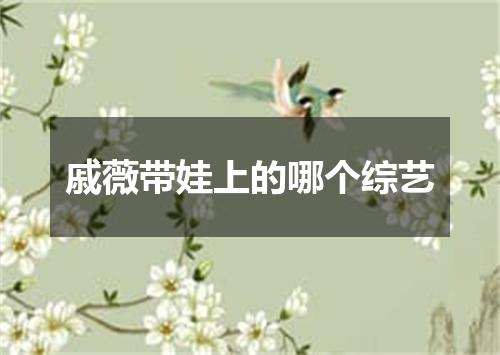 戚薇带娃上的哪个综艺