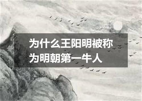 为什么王阳明被称为明朝第一牛人