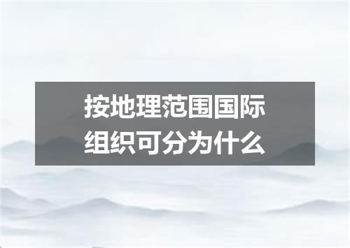 按地理范围国际组织可分为什么
