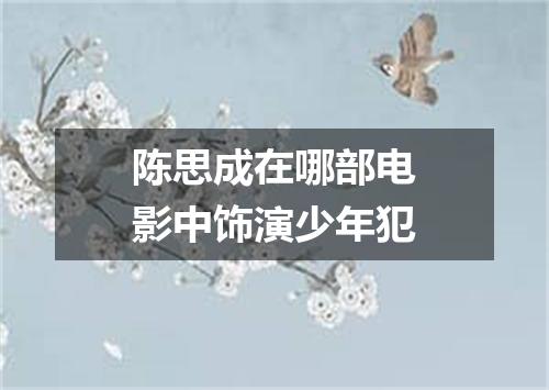 陈思成在哪部电影中饰演少年犯