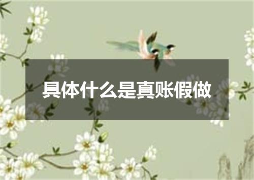 具体什么是真账假做