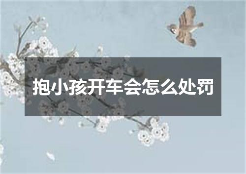 抱小孩开车会怎么处罚