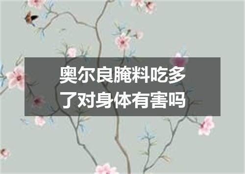 奥尔良腌料吃多了对身体有害吗