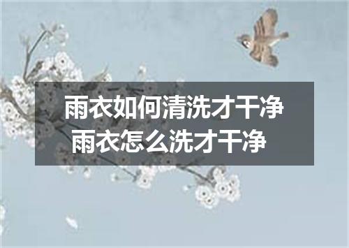 雨衣如何清洗才干净 雨衣怎么洗才干净