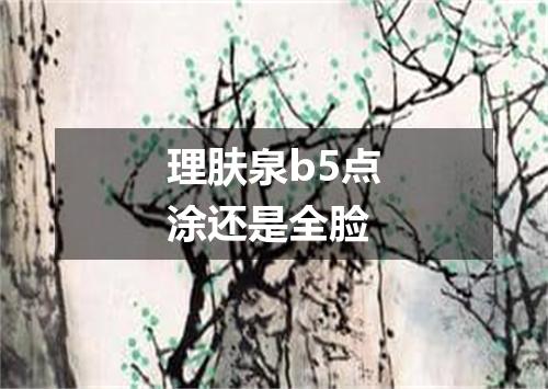 理肤泉b5点涂还是全脸