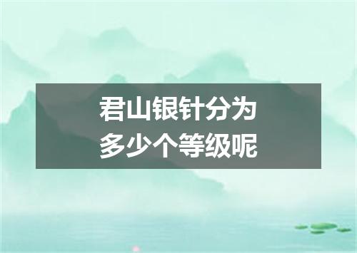 君山银针分为多少个等级呢