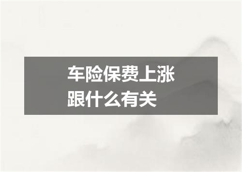 车险保费上涨跟什么有关