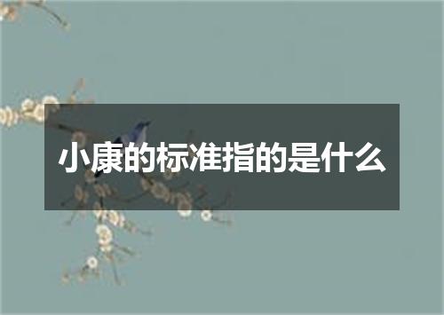 小康的标准指的是什么