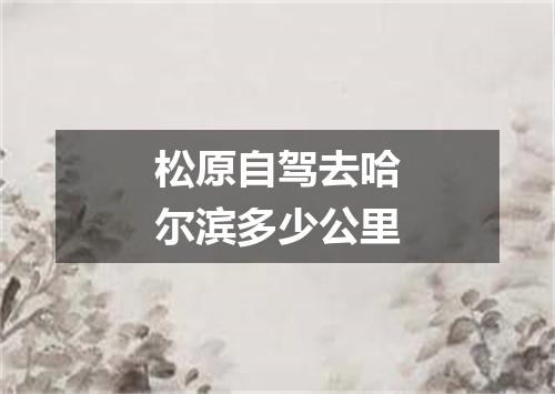 松原自驾去哈尔滨多少公里