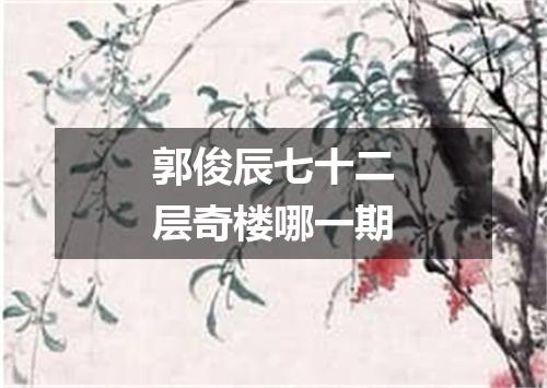 郭俊辰七十二层奇楼哪一期